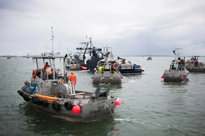 Bristol Bay Sees Strong Wild Sockeye Harvest to Follow Up Record
